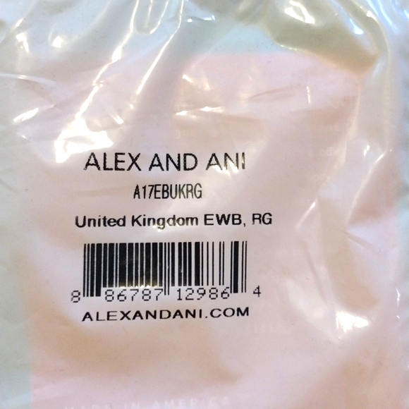 Alex and Ani Women's United Kingdom Charm Bangle Rafaelian Gold - NWT - Picture 4 of 5